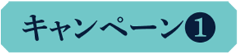 キャンペーン1