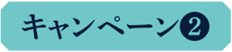キャンペーン2